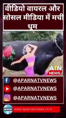 14 फरवरी का प्रेमी युगल को सोशल मीडिया में तोफा #news #aparnatvnews #atn #14february