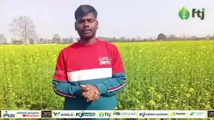 पछेती सरसों की फसल में कैसे करें माहू कीट की पहचान, जानें रोकथाम का तरीका
#agratodaynews #agriculure #farming #farmlaw