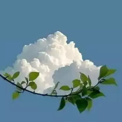 gajendeka123