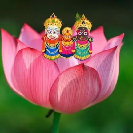 santosh752110
