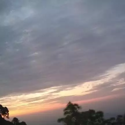 ashutoshk429