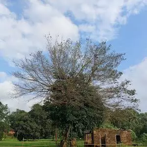 anagha8088
