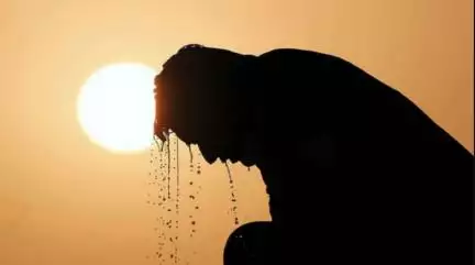 बिहार में हीटवेव से 24 घंटे में 8 लोगों की हुई मौत: रिपोर्ट्स #हीटवेव #गर्मी