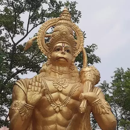mallik.bidyut9