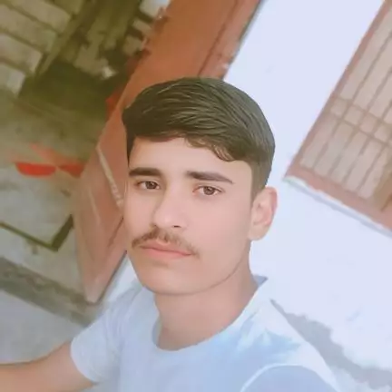 ay1873499