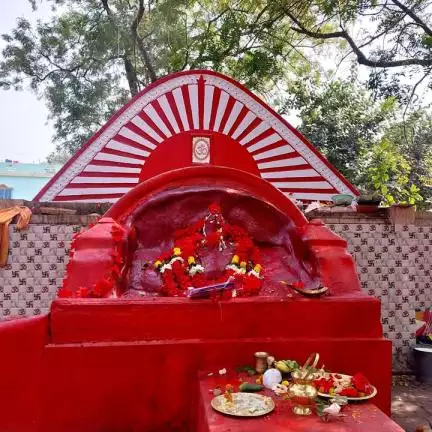 subasish861