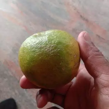 chikmagaluru
