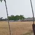 nirajyadav65448
