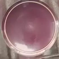 newsallupp