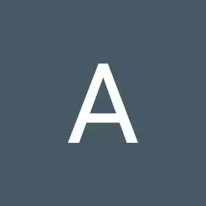ankitlodhi9203