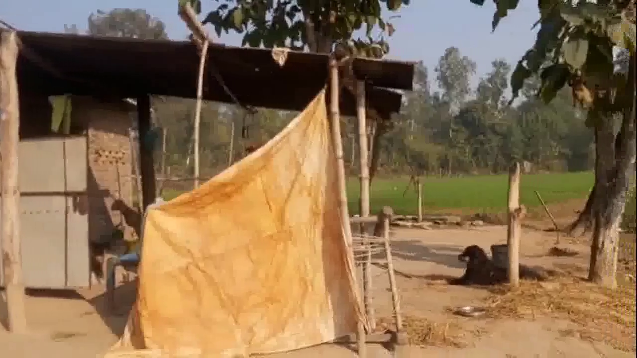 यमुनानगर में पति को चारपाई से बांधकर नेपाली महिला के साथ गैंगरेप, 5 लोगों के खिलाफ केस दर्ज  #गैंगरेप