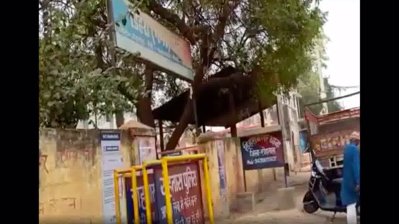 रोहतास में 2 नाबालिग बहनों में से एक को बांधकर दूसरी लड़की से किया गया गैंगरेप  #अपराध  #गैंगरेप