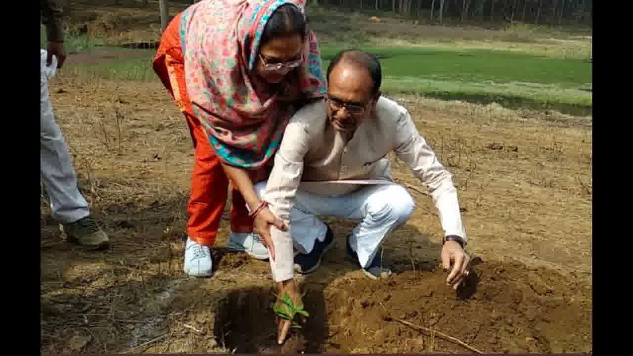 CM शिवराज ने नर्मदा जयंती पर अमरकंटक से की 1 साल तक रोज़ एक पौधा रोपने के संकल्प की शुरुआत #शिवराज_सिंह