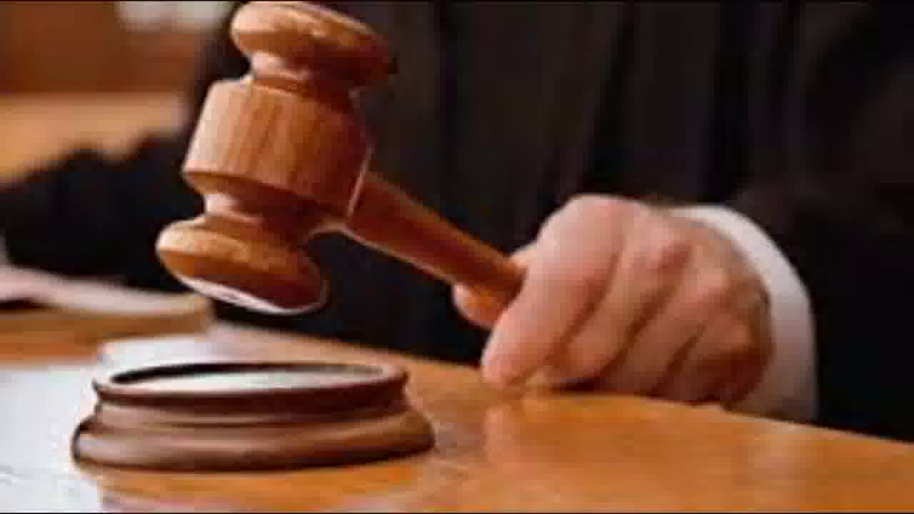वॉट्सऐप ग्रुप या कोई गैर-हानिकारक टूलकिट बनाना अपराध नहीं: दिशा रवि को लेकर कोर्ट #टूलकिट