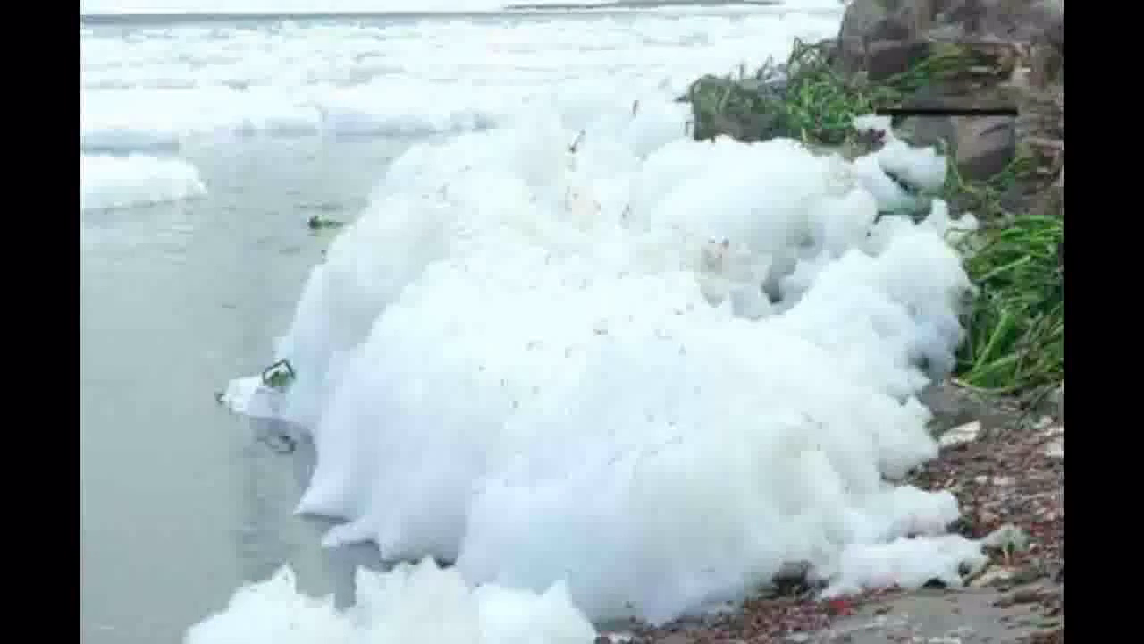 कालिंदी कुंज के पास यमुना नदी की सतह पर तैरती दिखी ज़हरीली झाग, राघव चड्ढा जता चुके हैं चिंता  #यमुना_नदी