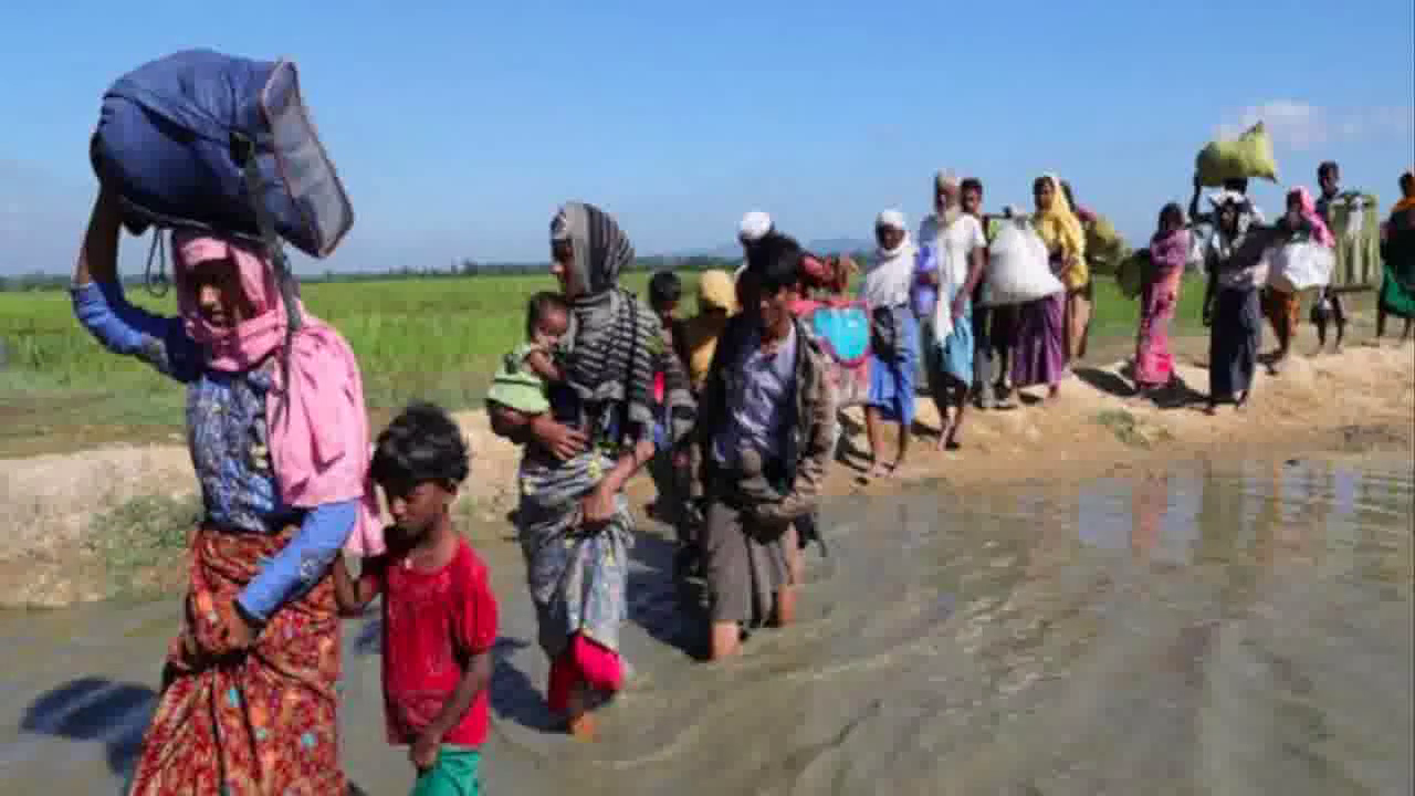 भारत धर्मशाला नहीं है कि जिसका दिल करे वो यहां आकर रहने लग जाए: रोहिंग्या मुस्लिमों को लेकर अनिल विज  #रोहिंग्या