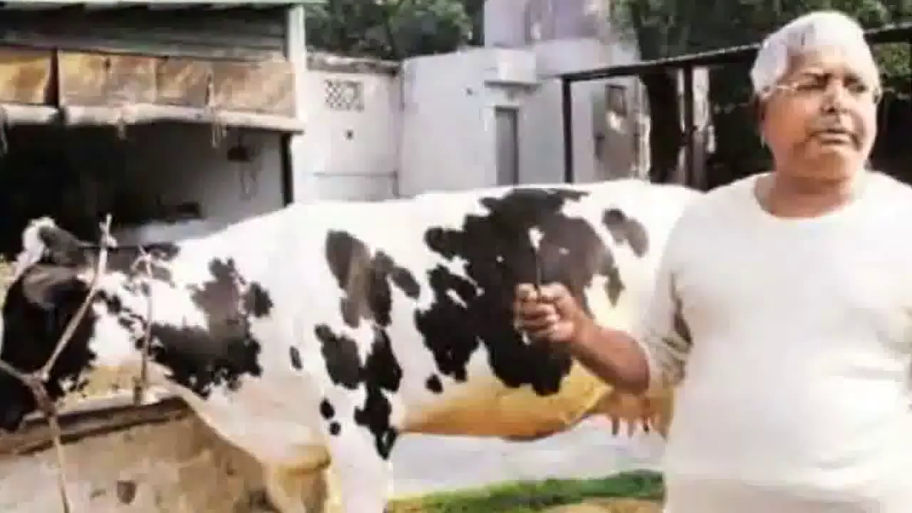 चारा घोटाला मामले में सीबीआइ कोर्ट ने खारिज की लालू यादव की याचिका, 13 अगस्त से डे-टू-डे होगी बहस #चारा_घोटाला