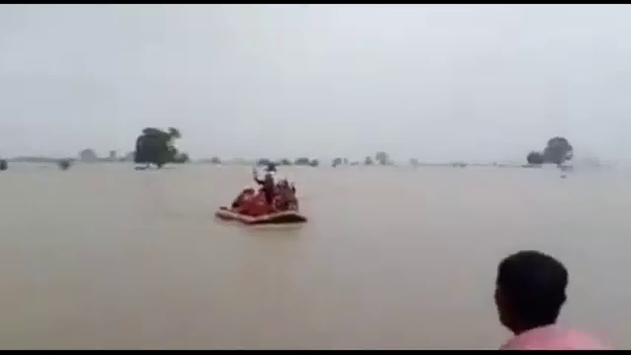 शिवपुरी में 24 घंटे से पेड़ पर फंसे 3 आदिवासियों को SDRF की टीम ने सुरक्षित बचाया #बाढ़ #रेस्क्यू