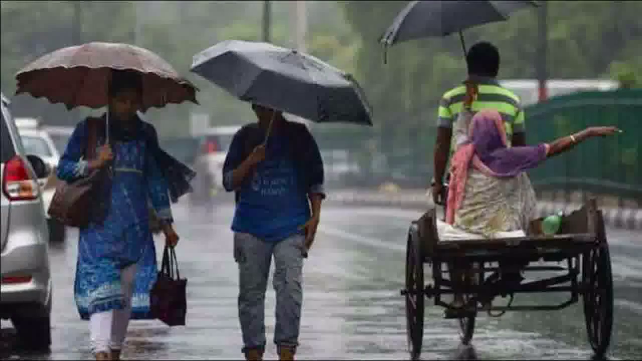 मौसम विभाग ने मध्य प्रदेश के 8 ज़िलों में भारी बारिश का 'येलो अलर्ट' किया जारी, बिजली गिरने की भी संभावना #मौसम_अलर्ट