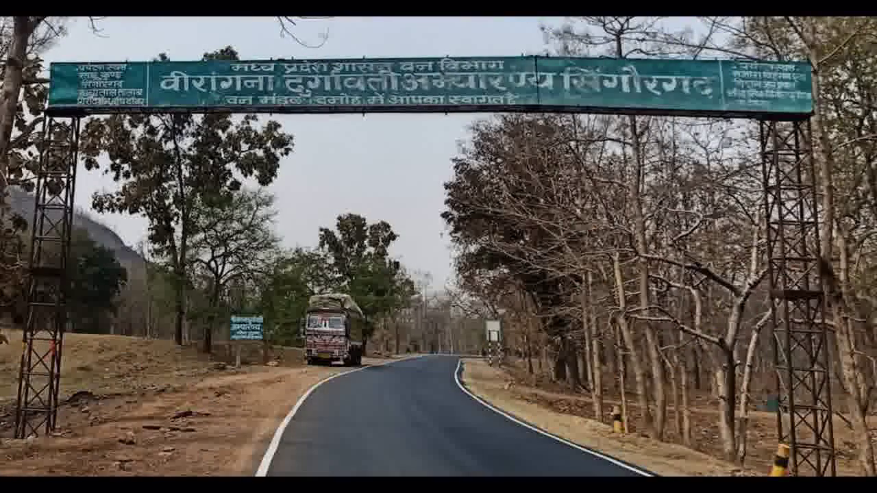 दमोह में सेल्फी लेते वक्त 250 फुट गहरी खाई में गिरा 25-वर्षीय युवक, मौत #सेल्फी #हादसा