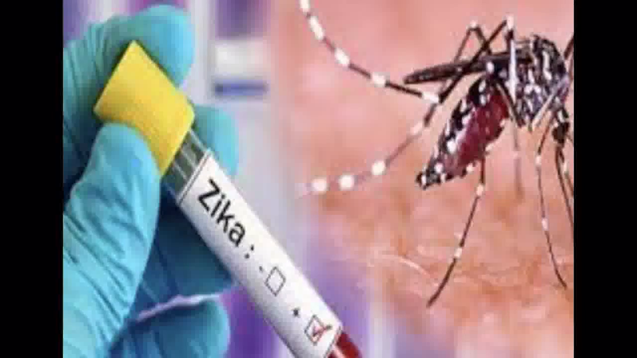 यूपी के कानपुर में ज़ीका वायरस से संक्रमितों का आंकड़ा पहुंचा 100 के पार #ज़ीका_वायरस