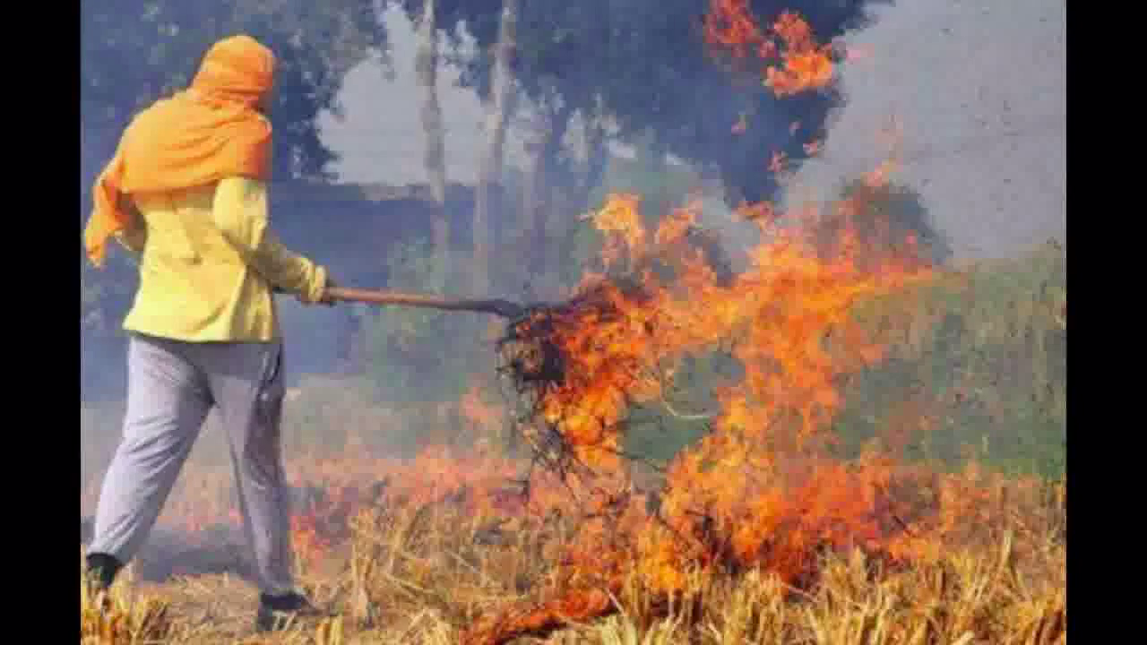 हरियाणा के कैथल में पराली जलाने के आरोप में किसानों के खिलाफ दर्ज की गई प्राथमिकी #पराली #प्रदूषण