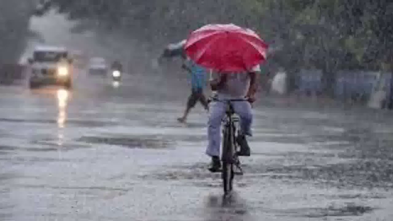 राजस्थान में बारिश के बाद ठंड के साथ बढ़ा कोहरा, आज भी 4 संभागों में बारिश की संभावना #ठंड #कोहरा