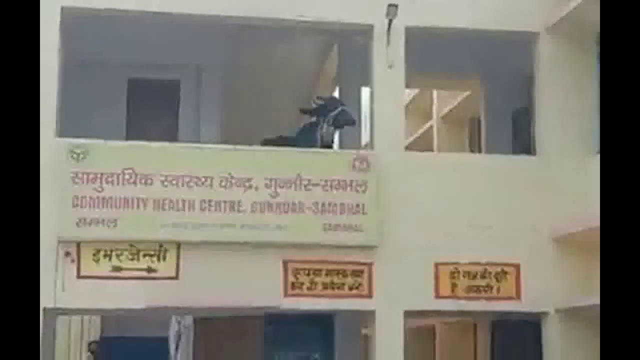 संभल के सरकारी अस्पताल की पहली मंज़िल पर पहुंची भैंस, स्टाफ व डॉक्टरों ने खुद को कमरों में किया बंद #सरकारी_अस्पताल