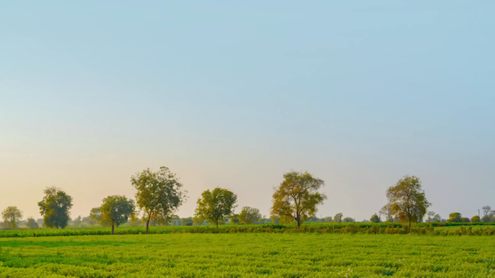 Kisan Hit Mein Jaari - केंद्र सरकार द्वारा चलाई जा रही प्रधानमंत्री किसान संपदा योजना के बारे में जानें और इसका लाभ उठाएं।